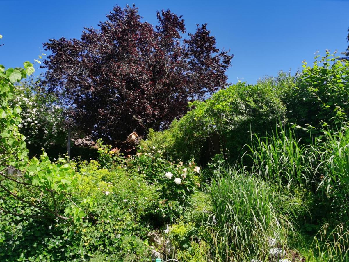 Appartamento Naehe Spieleland Vogt Esterno foto